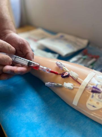 A needle drawing blood