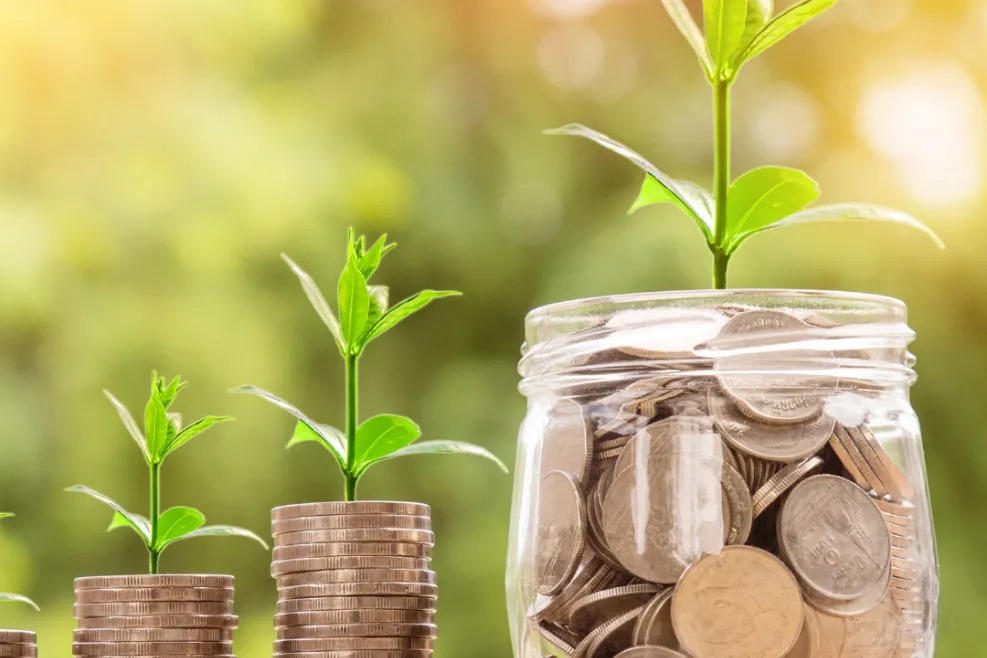 A financial growth concept featuring three stacks of coins with small green plants sprouting from them, symbolizing investment and prosperity. Beside the stacks, a glass jar filled with coins also has a growing plant emerging from it, set against a blurred natural background with warm sunligh